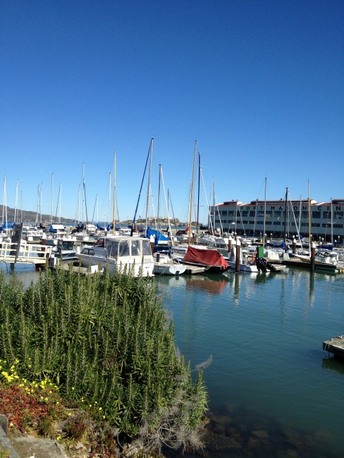 View of Fort Mason and Greens Restaurant from across the marina