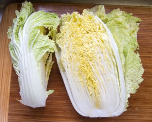 Napa cabbage