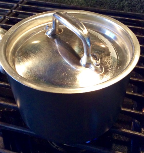 Tightly covered pot steaming away