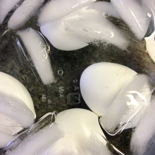 Eggs chilled in ice water for as long as they cooked